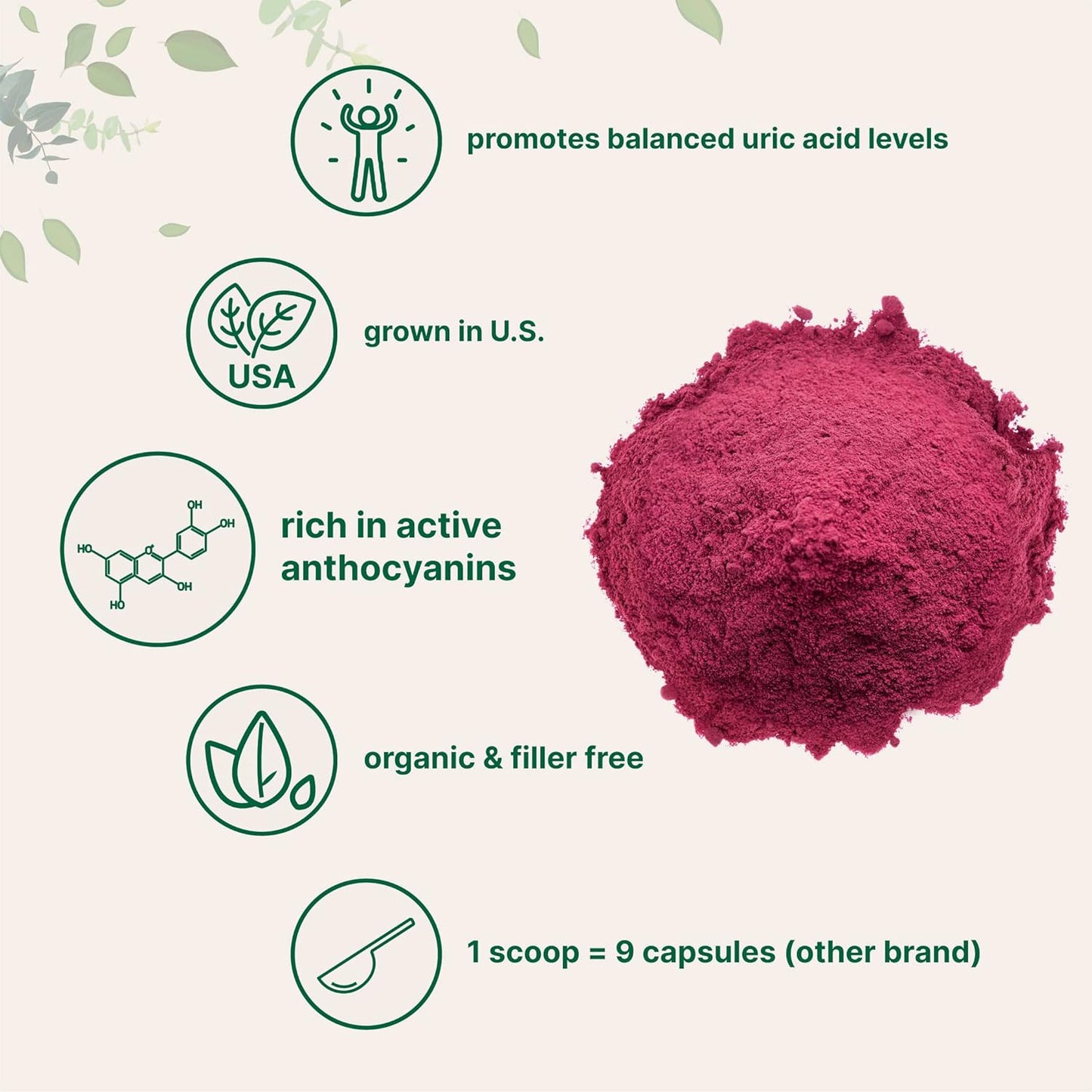 Organic Acerola Powder, 8oz | Natural Organic Vitamin C Superfood | No Sugar & Additives | Great Flavor for Drinks, Smoothie, & Beverages | Non-GMO & Vegan Friendly, Brazil Origin