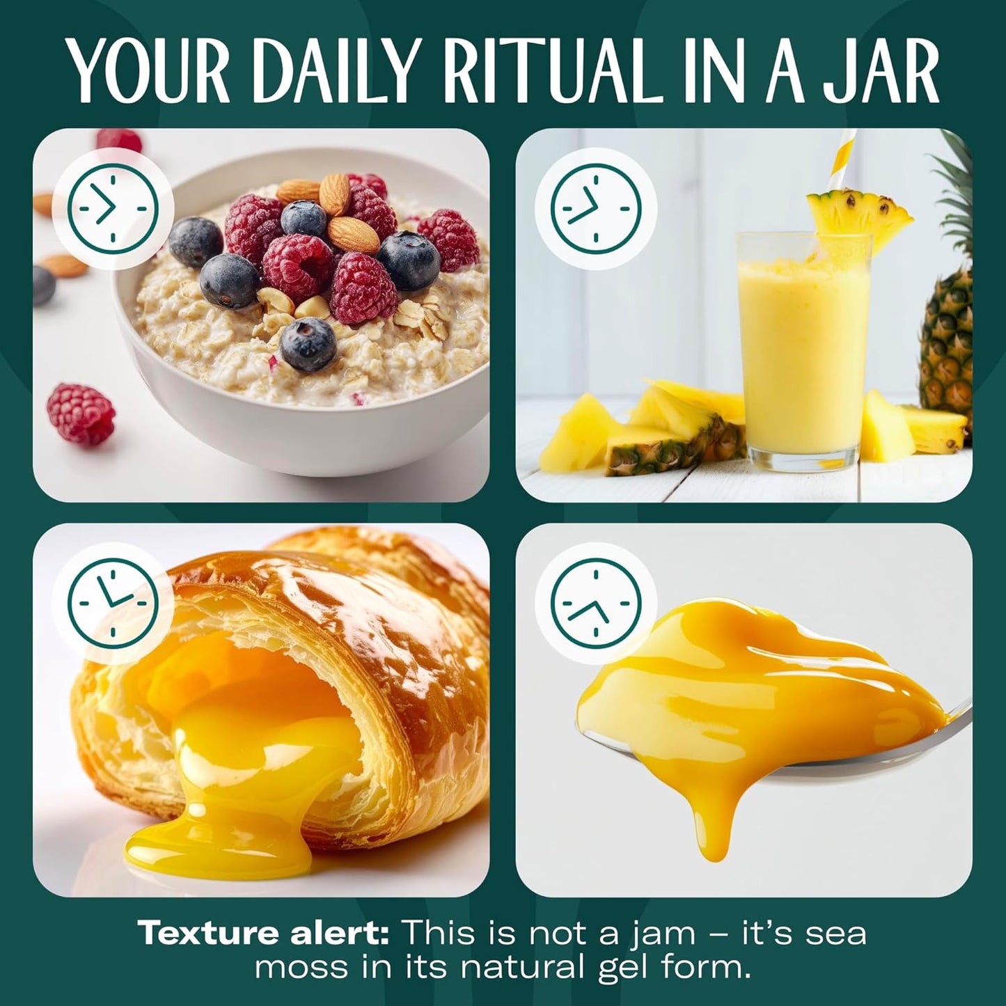 TrueSeaMoss Sea Moss Gel – Made in USA – Wildcrafted Seamoss, Dried Seaweed & Jarred Vegetables – Original, Pack of 1 (Labels may Vary)