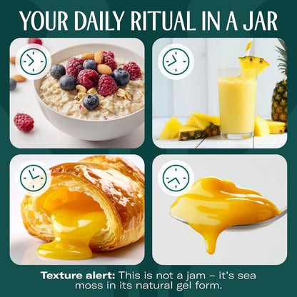 TrueSeaMoss Sea Moss Gel – Made in USA – Wildcrafted Seamoss, Dried Seaweed & Jarred Vegetables – Original, Pack of 1 (Labels may Vary)