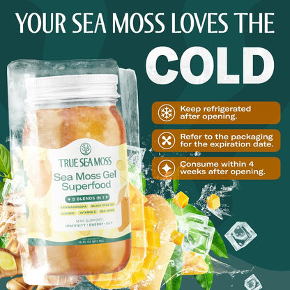 TrueSeaMoss Sea Moss Gel – Made in USA – Wildcrafted Seamoss, Fresh Fruits & Sea Vegetables – Apple/Cinnamon, Pack of 1 (Labels may Vary)