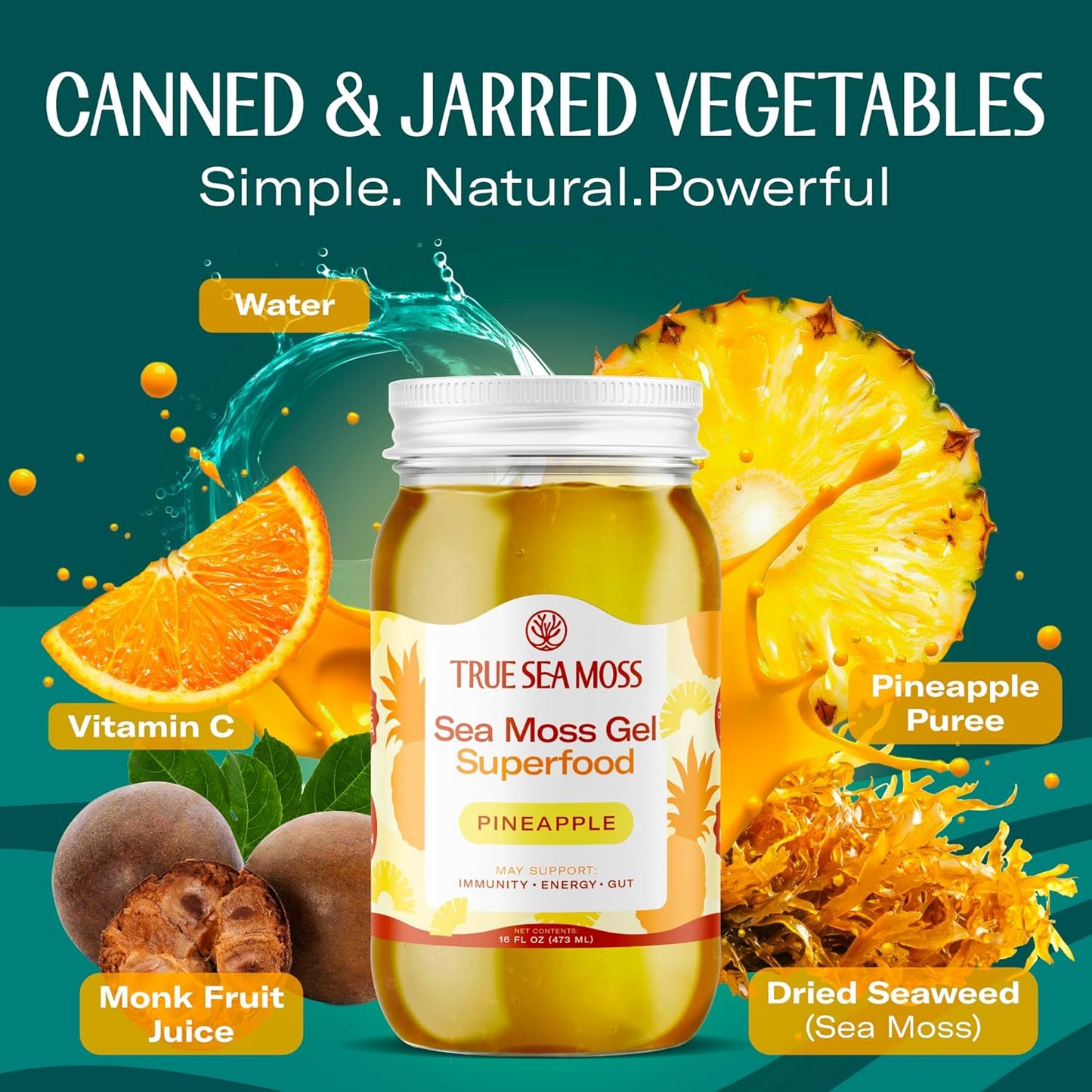 TrueSeaMoss Sea Moss Gel – Made in USA – Wildcrafted Seamoss, Dried Seaweed & Jarred Vegetables – Original, Pack of 1 (Labels may Vary)