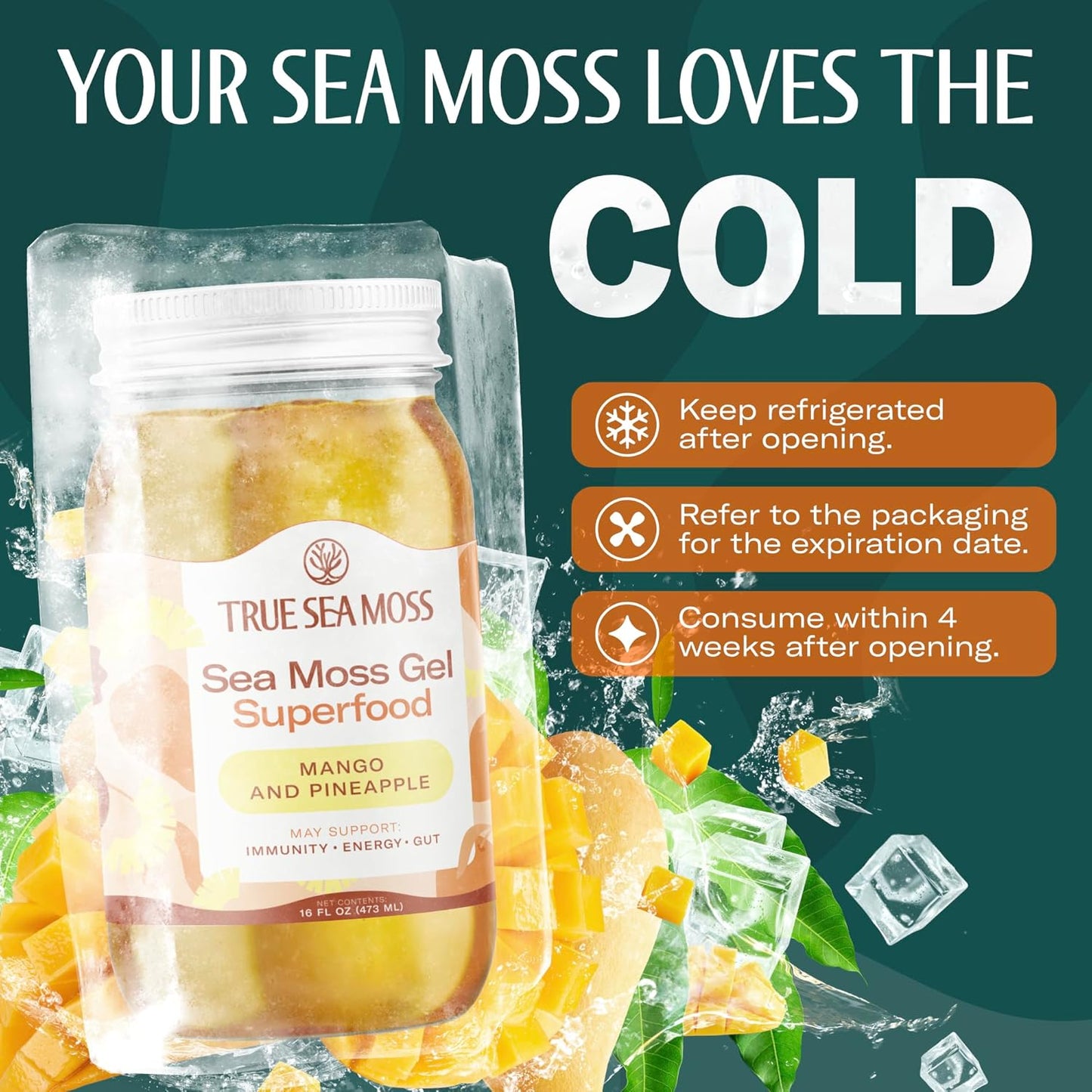 TrueSeaMoss Sea Moss Gel – Made in USA – Wildcrafted Seamoss, Fresh Fruits & Sea Vegetables – Apple/Cinnamon, Pack of 1 (Labels may Vary)