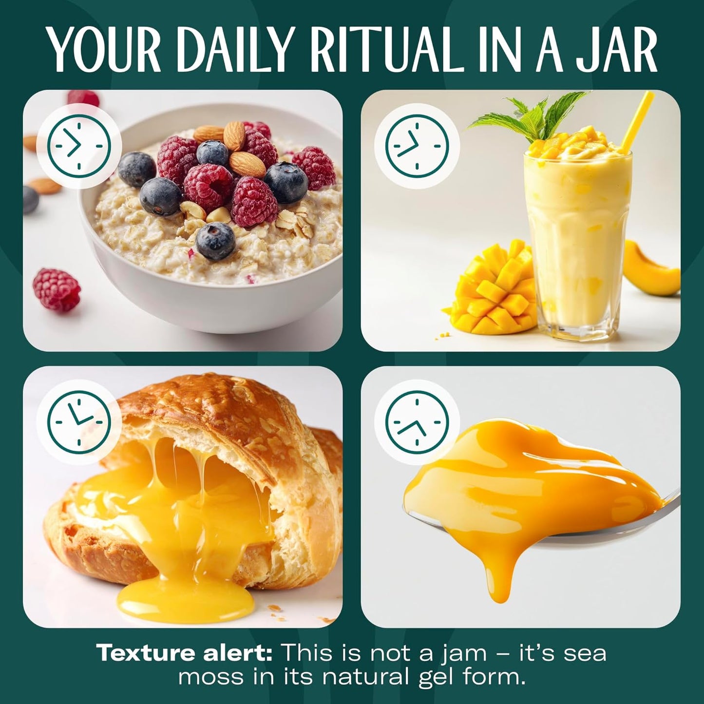 TrueSeaMoss Sea Moss Gel – Made in USA – Wildcrafted Seamoss, Dried Seaweed & Jarred Vegetables – Original, Pack of 1 (Labels may Vary)