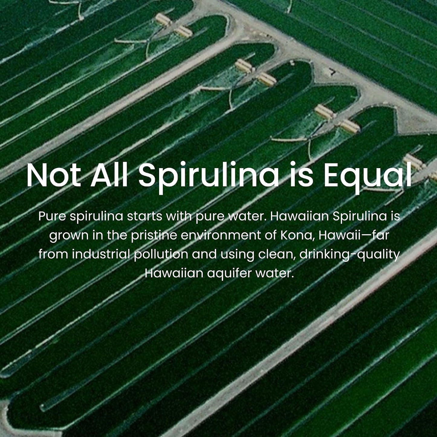 Nutrex Hawaii Pure Hawaiian Spirulina Tablets, Vegan, 500 mg, 200 Count | Spirulina Farm Grown in Kona, Hawaii, Non-GMO, Glyphosate Residue Free, 3rd Party Tested, 60% Protein, Superfood Supplement
