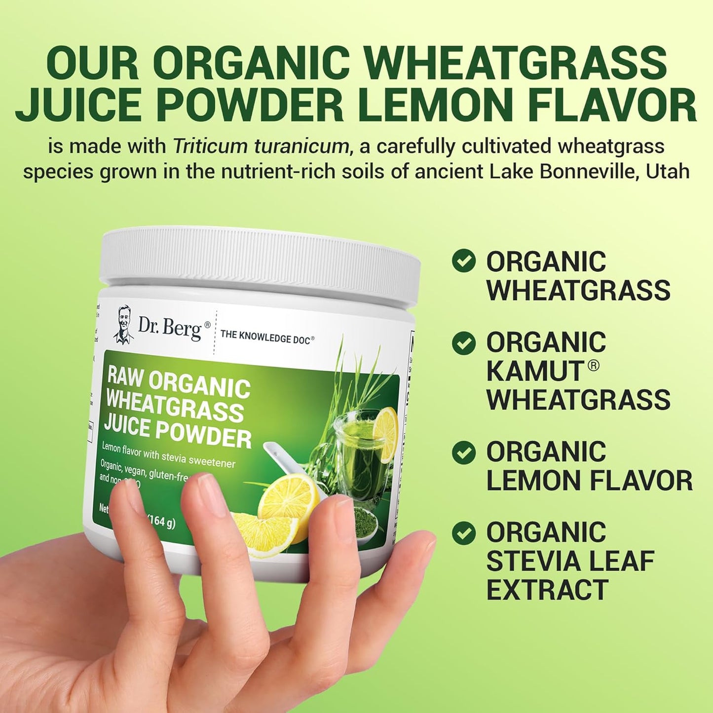 Dr. Berg USDA Certified Organic Green Powder Superfood (60 Servings) - Made with Raw Wheatgrass Powder, Chlorophyll, Trace Minerals & Natural Enzymes - Non-GMO Green Superfood Powder - Lemon Flavor