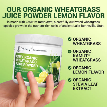 Dr. Berg USDA Certified Organic Green Powder Superfood (60 Servings) - Made with Raw Wheatgrass Powder, Chlorophyll, Trace Minerals & Natural Enzymes - Non-GMO Green Superfood Powder - Lemon Flavor