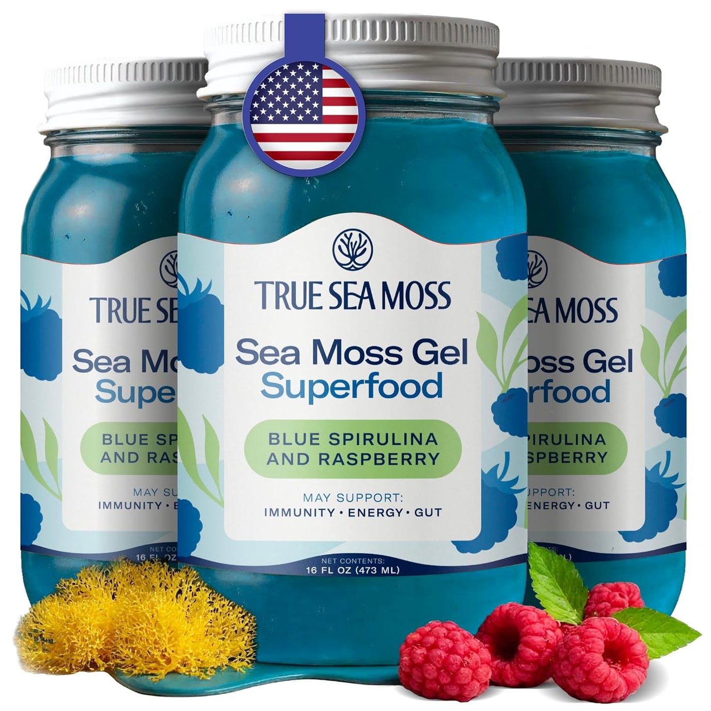 TrueSeaMoss Sea Moss Gel – Made in USA – Wildcrafted Seamoss, Dried Seaweed & Jarred Vegetables – Original, Pack of 1 (Labels may Vary)