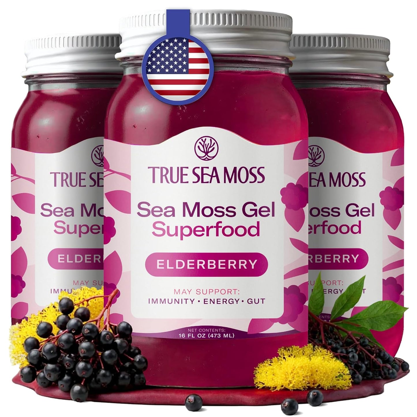 TrueSeaMoss Sea Moss Gel – Made in USA – Wildcrafted Seamoss, Dried Seaweed & Jarred Vegetables – Original, Pack of 1 (Labels may Vary)