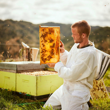 Egmont Honey Mānuka Honey 250+ MGO 250g | Certified MGO Content | Raw Honey 100% Natural | Made in New Zealand