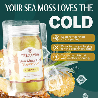 TrueSeaMoss Sea Moss Gel – Made in USA – Wildcrafted Seamoss, Fresh Fruits & Sea Vegetables – Apple/Cinnamon, Pack of 1 (Labels may Vary)