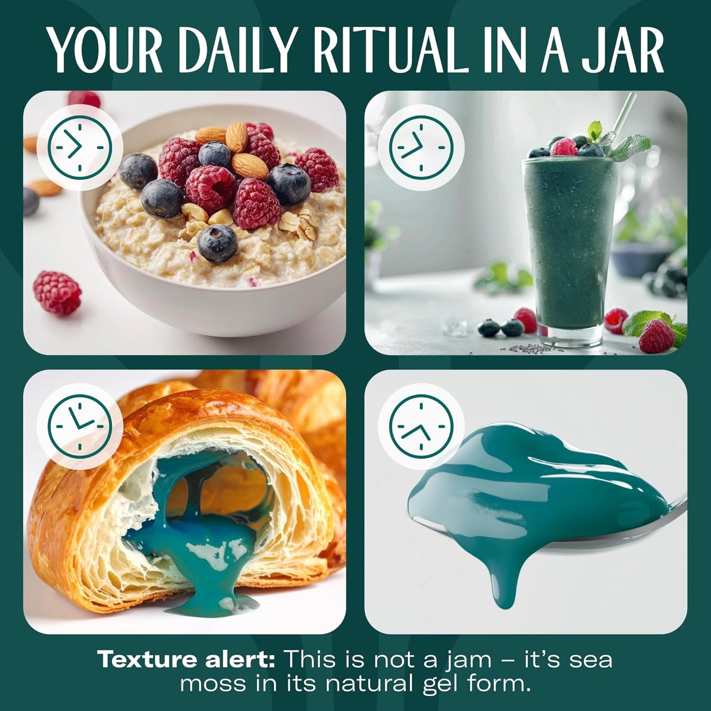 TrueSeaMoss Sea Moss Gel – Made in USA – Wildcrafted Seamoss, Dried Seaweed & Jarred Vegetables – Original, Pack of 1 (Labels may Vary)