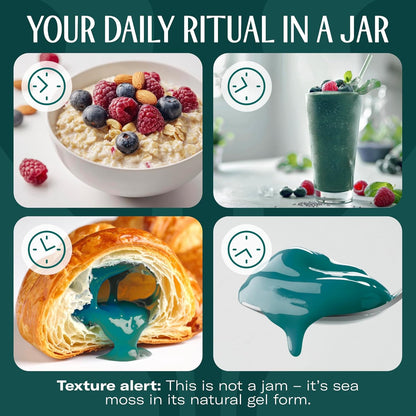 TrueSeaMoss Sea Moss Gel – Made in USA – Wildcrafted Seamoss, Dried Seaweed & Jarred Vegetables – Original, Pack of 1 (Labels may Vary)