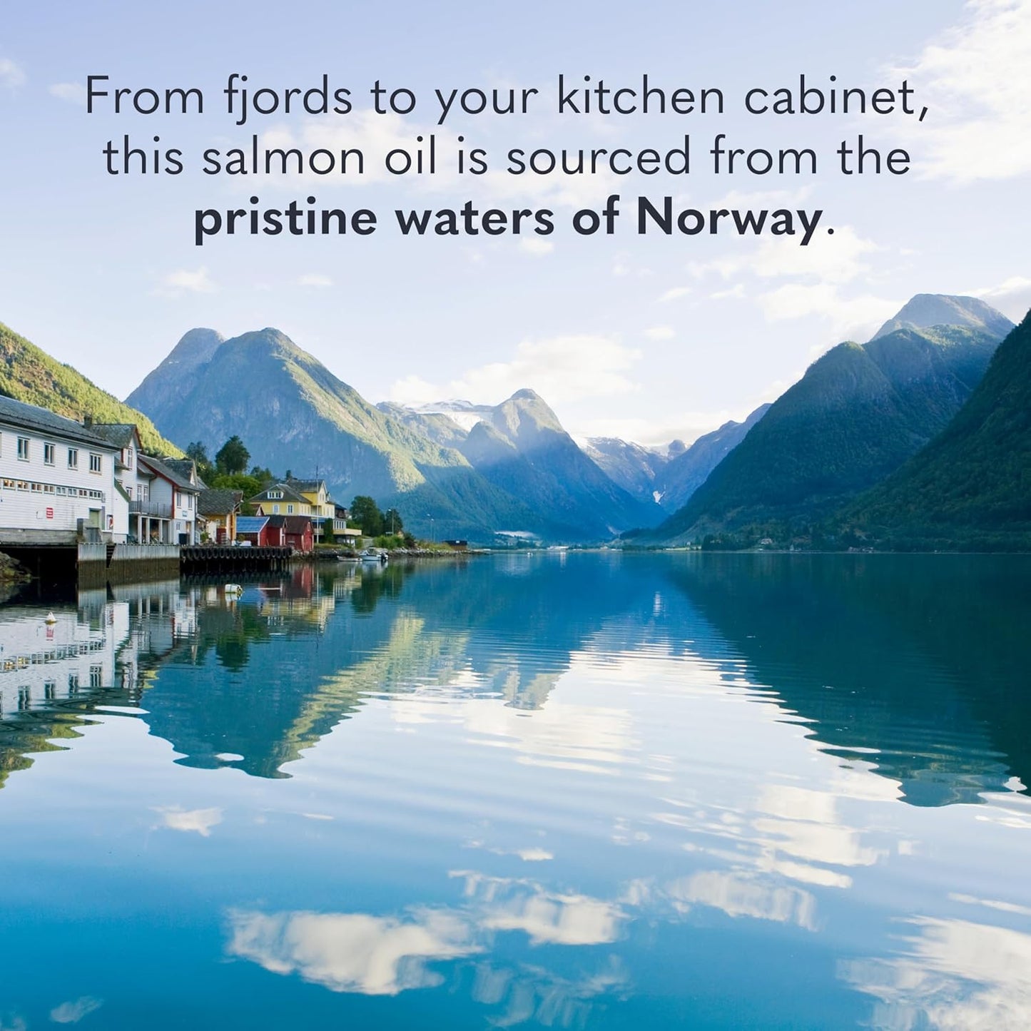 Garden of Life Dr. Formulated Norwegian Salmon Oil - Dietary Supplement - Full Spectrum Omega-3 EPA, DHA, DPA - Fish Oil from Norwegian Fjords - for Heart Health - 60 Softgels