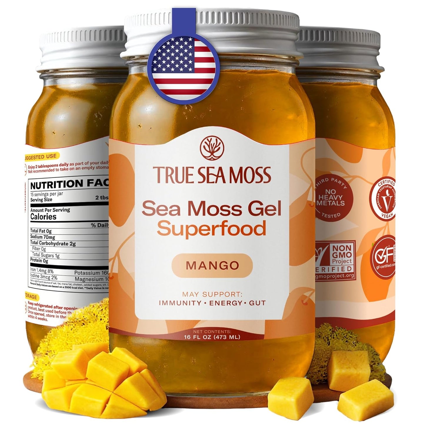 TrueSeaMoss Sea Moss Gel – Made in USA – Wildcrafted Seamoss, Dried Seaweed & Jarred Vegetables – Original, Pack of 1 (Labels may Vary)
