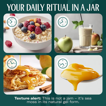 TrueSeaMoss Sea Moss Gel – Made in USA – Wildcrafted Seamoss, Dried Seaweed & Jarred Vegetables – Original, Pack of 1 (Labels may Vary)