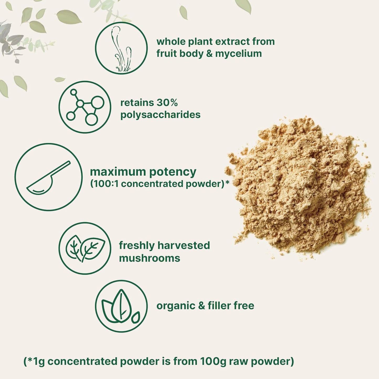 Micro Ingredients Organic Cordyceps Mushroom Extract, 8 oz | 100:1 Extract | Supports Energy & Immune Function | Great for Pre-Workout & Drinks | Non-GMO, Vegan Friendly