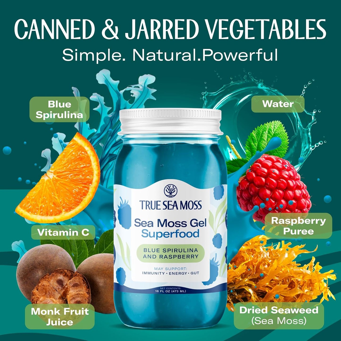 TrueSeaMoss Sea Moss Gel – Made in USA – Wildcrafted Seamoss, Dried Seaweed & Jarred Vegetables – Original, Pack of 1 (Labels may Vary)