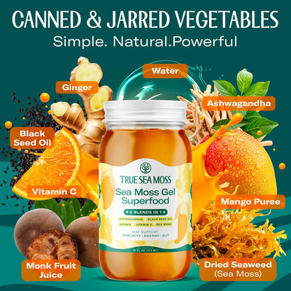 TrueSeaMoss Sea Moss Gel – Made in USA – Wildcrafted Seamoss, Dried Seaweed & Jarred Vegetables – Original, Pack of 1 (Labels may Vary)