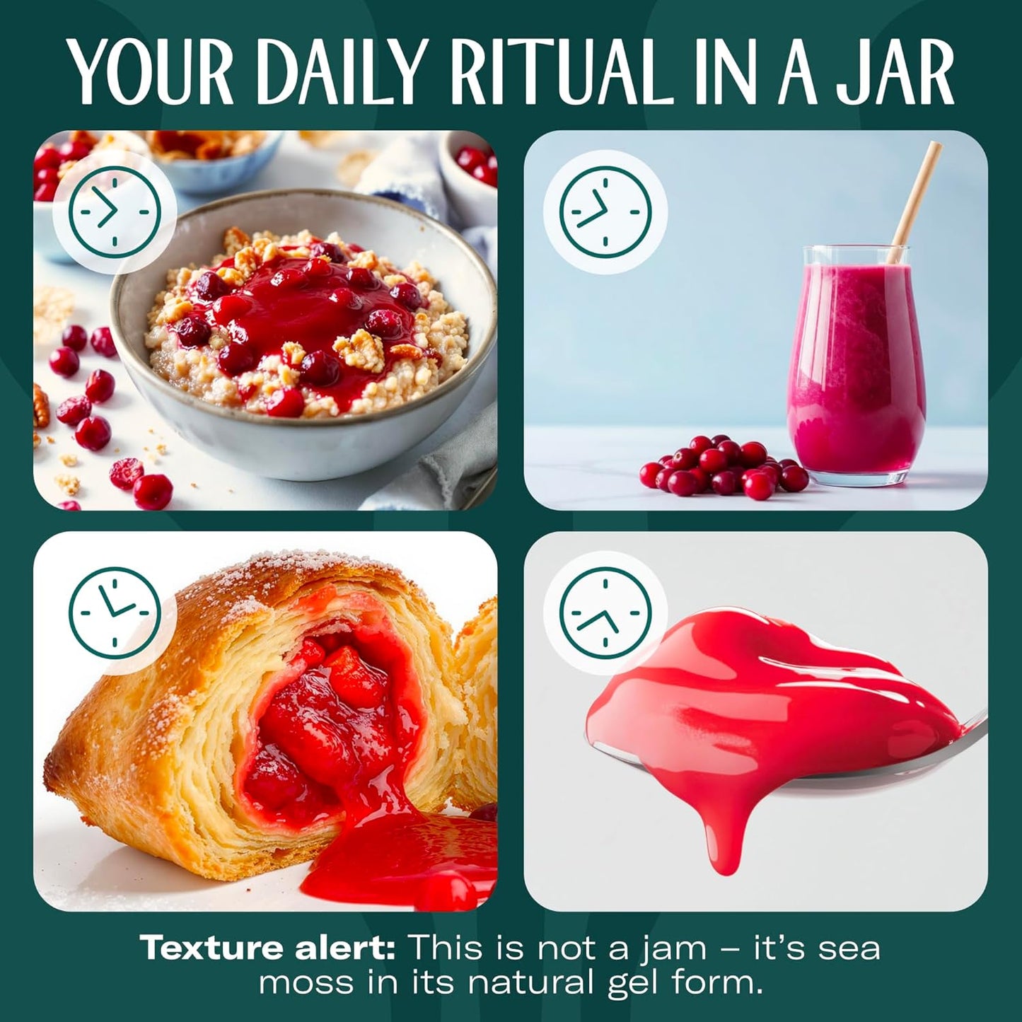 TrueSeaMoss Sea Moss Gel – Made in USA – Wildcrafted Seamoss, Fresh Fruits & Sea Vegetables – Cherry, Pack of 1 (Labels May Vary)