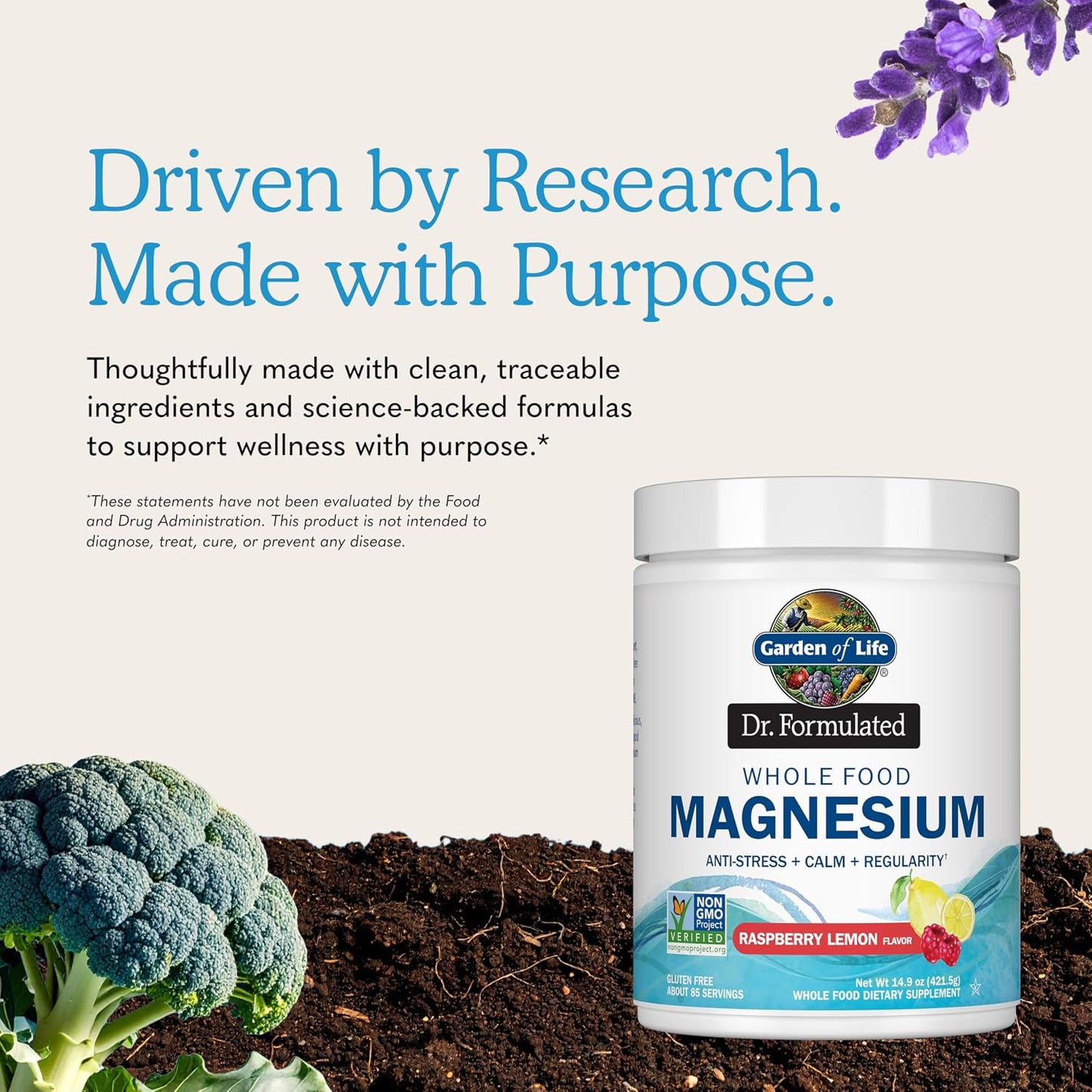 Garden of Life Dr. Formulated Magnesium Powder, Raspberry Lemon, 85 Doses