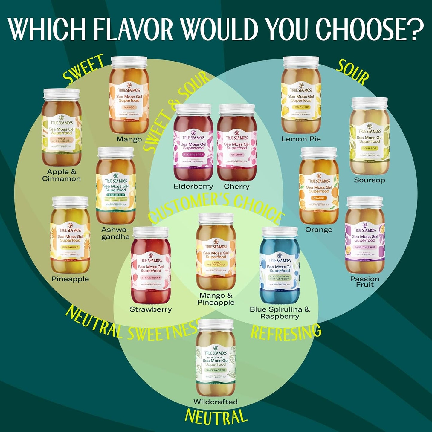 TrueSeaMoss Sea Moss Gel – Made in USA – Wildcrafted Seamoss, Dried Seaweed & Jarred Vegetables – Original, Pack of 1 (Labels may Vary)