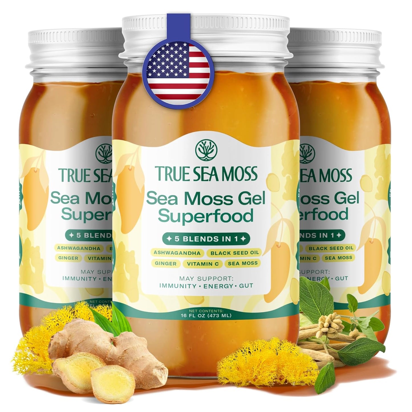 TrueSeaMoss Sea Moss Gel – Made in USA – Wildcrafted Seamoss, Dried Seaweed & Jarred Vegetables – Original, Pack of 1 (Labels may Vary)