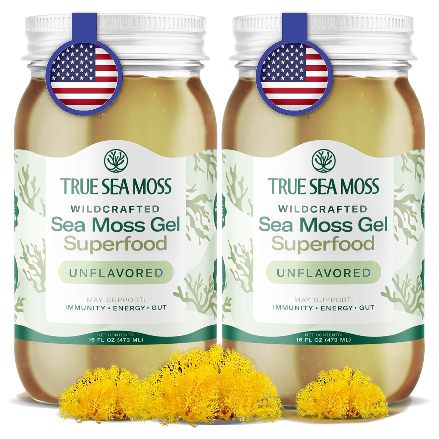 TrueSeaMoss Sea Moss Gel – Made in USA – Wildcrafted Seamoss, Fresh Fruits & Sea Vegetables – Apple/Cinnamon, Pack of 1 (Labels may Vary)