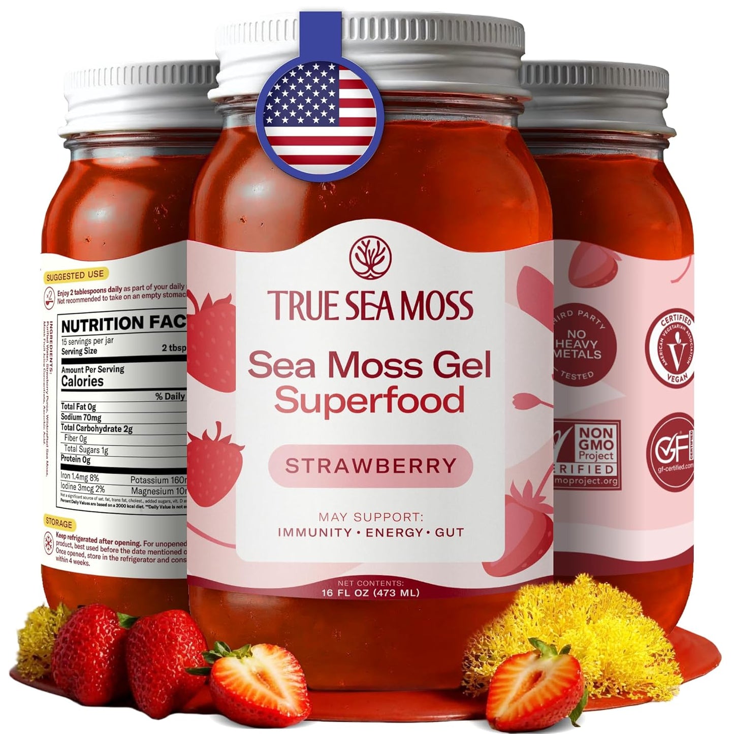 TrueSeaMoss Sea Moss Gel – Made in USA – Wildcrafted Seamoss, Dried Seaweed & Jarred Vegetables – Original, Pack of 1 (Labels may Vary)