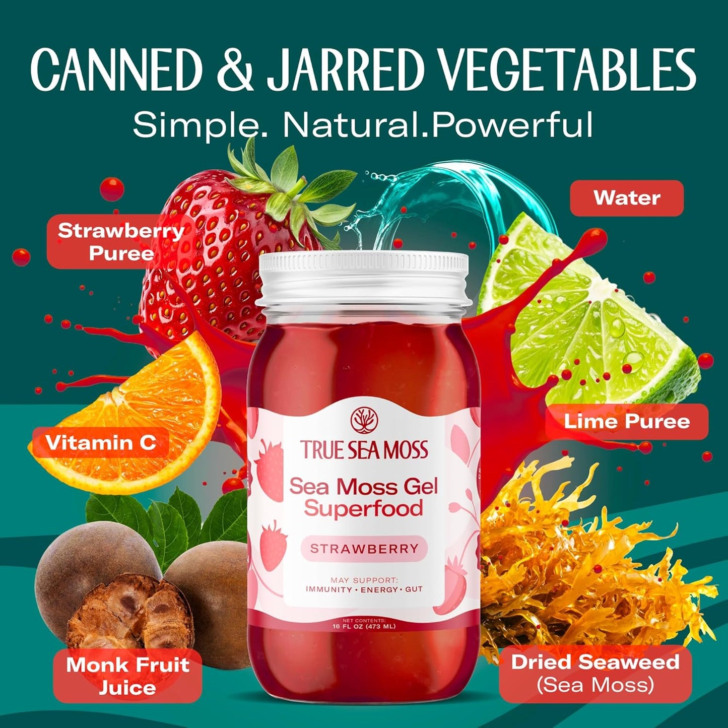 TrueSeaMoss Sea Moss Gel – Made in USA – Wildcrafted Seamoss, Dried Seaweed & Jarred Vegetables – Original, Pack of 1 (Labels may Vary)