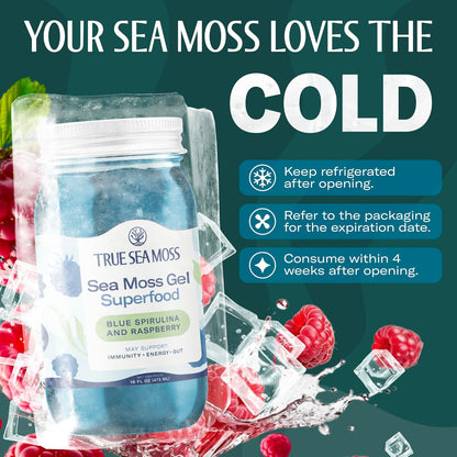 TrueSeaMoss Sea Moss Gel – Made in USA – Wildcrafted Seamoss, Fresh Fruits & Sea Vegetables – Apple/Cinnamon, Pack of 1 (Labels may Vary)