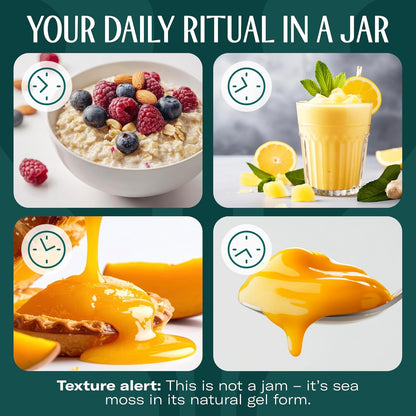 TrueSeaMoss Sea Moss Gel – Made in USA – Wildcrafted Seamoss, Dried Seaweed & Jarred Vegetables – Original, Pack of 1 (Labels may Vary)