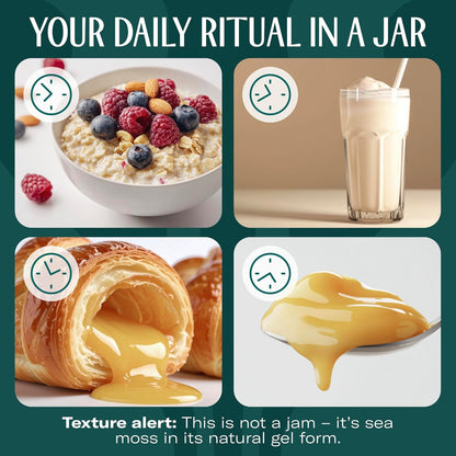 TrueSeaMoss Sea Moss Gel – Limited Edition – Made in USA – Wildcrafted Seamoss, Fresh Fruits & Sea Vegetables – Cherry, Pack of 1 (Labels May Vary)