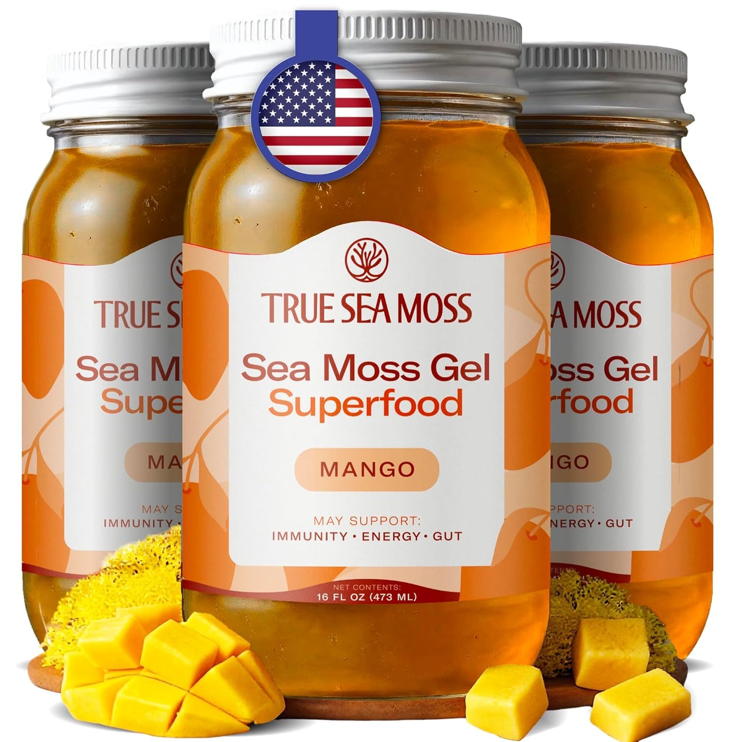 TrueSeaMoss Sea Moss Gel – Made in USA – Wildcrafted Seamoss, Dried Seaweed & Jarred Vegetables – Original, Pack of 1 (Labels may Vary)