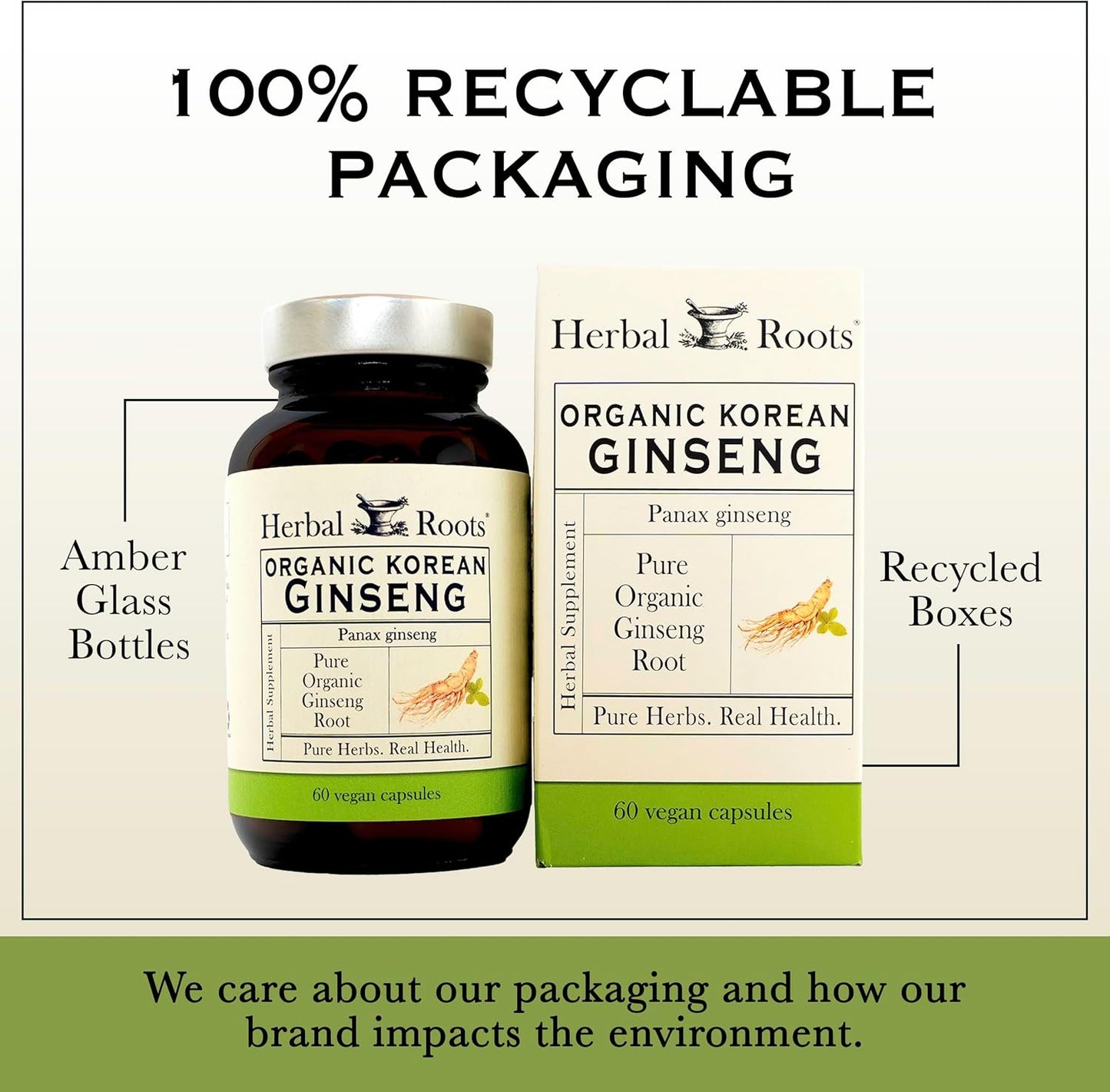 Herbal Roots Panax Ginseng - Organic Korean Ginseng Root Powder - 1000mg - High Ginsenosides for Energy, Focus & Performance - 60 Vegan Capsules Made in The USA