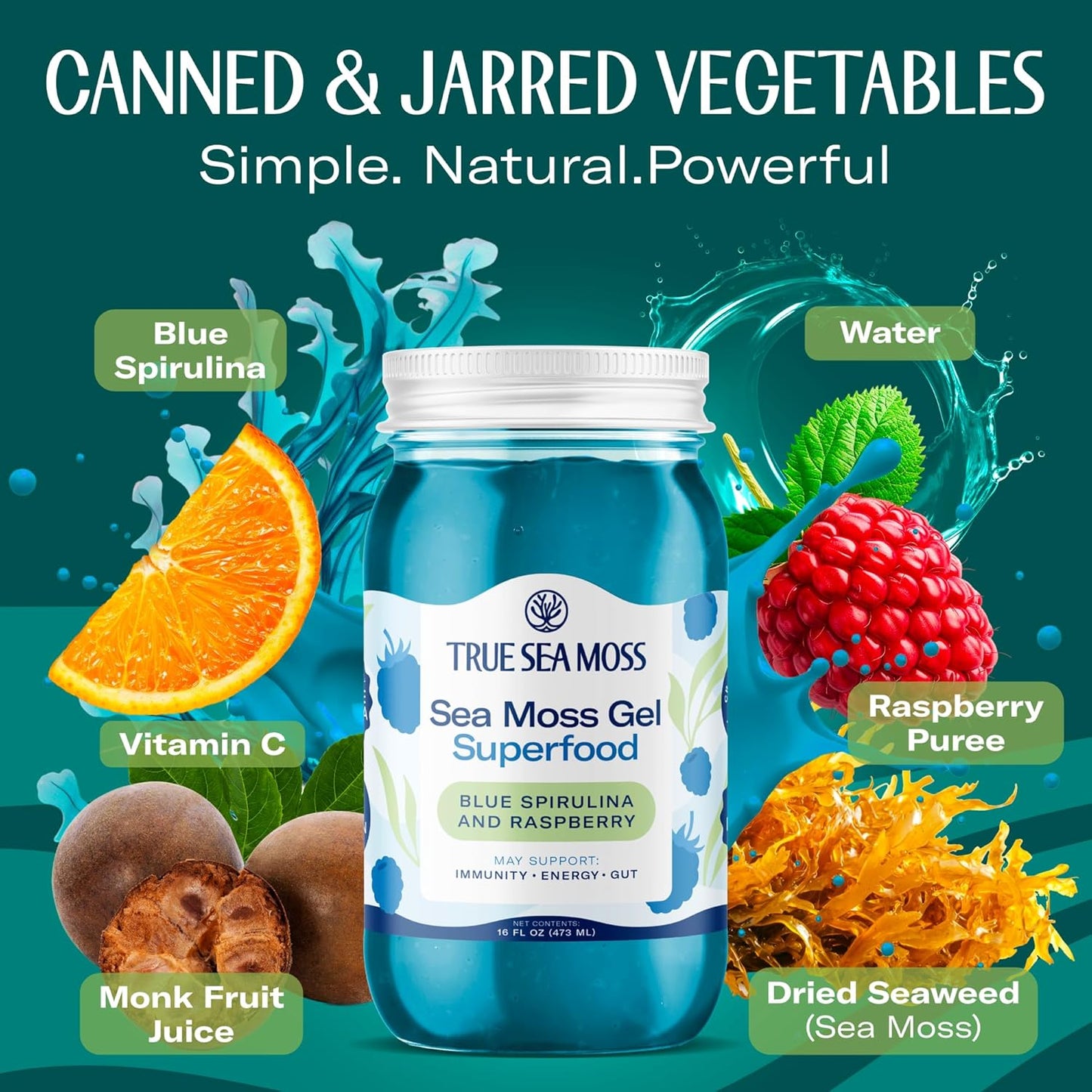 TrueSeaMoss Sea Moss Gel – Made in USA – Wildcrafted Seamoss, Dried Seaweed & Jarred Vegetables – Original, Pack of 1 (Labels may Vary)