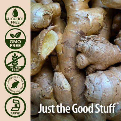 Nature's Answer Ginger Root Alcohol Free Extract 1 Ounce | Supports Stomach Function | Vegan | Vegetarian | Non-GMO | Gluten Free