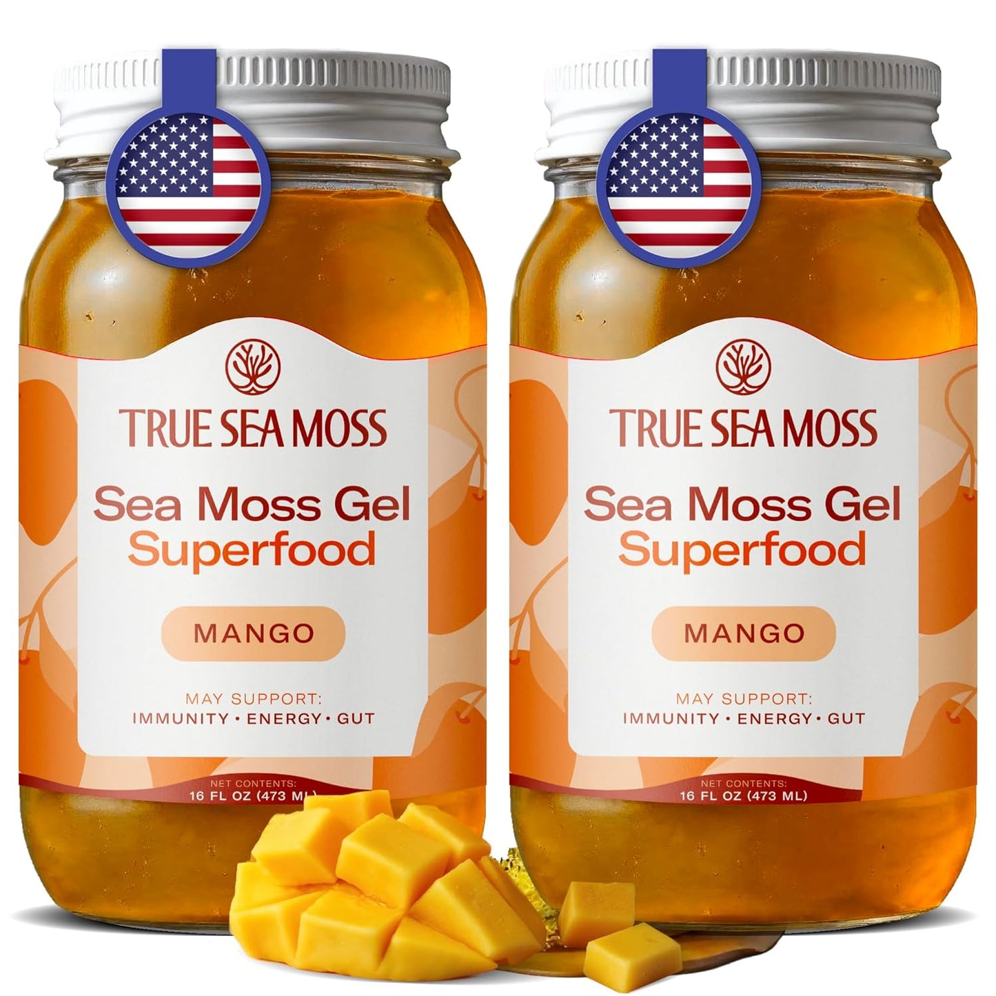 TrueSeaMoss Sea Moss Gel – Made in USA – Wildcrafted Seamoss, Dried Seaweed & Jarred Vegetables – Original, Pack of 1 (Labels may Vary)