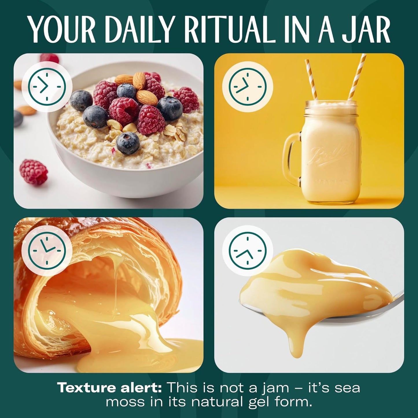 TrueSeaMoss Sea Moss Gel – Made in USA – Wildcrafted Seamoss, Dried Seaweed & Jarred Vegetables – Original, Pack of 1 (Labels may Vary)