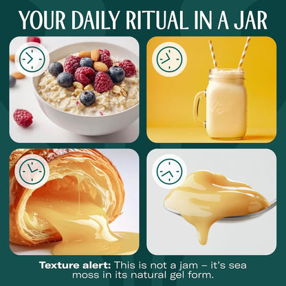 TrueSeaMoss Sea Moss Gel – Made in USA – Wildcrafted Seamoss, Dried Seaweed & Jarred Vegetables – Original, Pack of 1 (Labels may Vary)