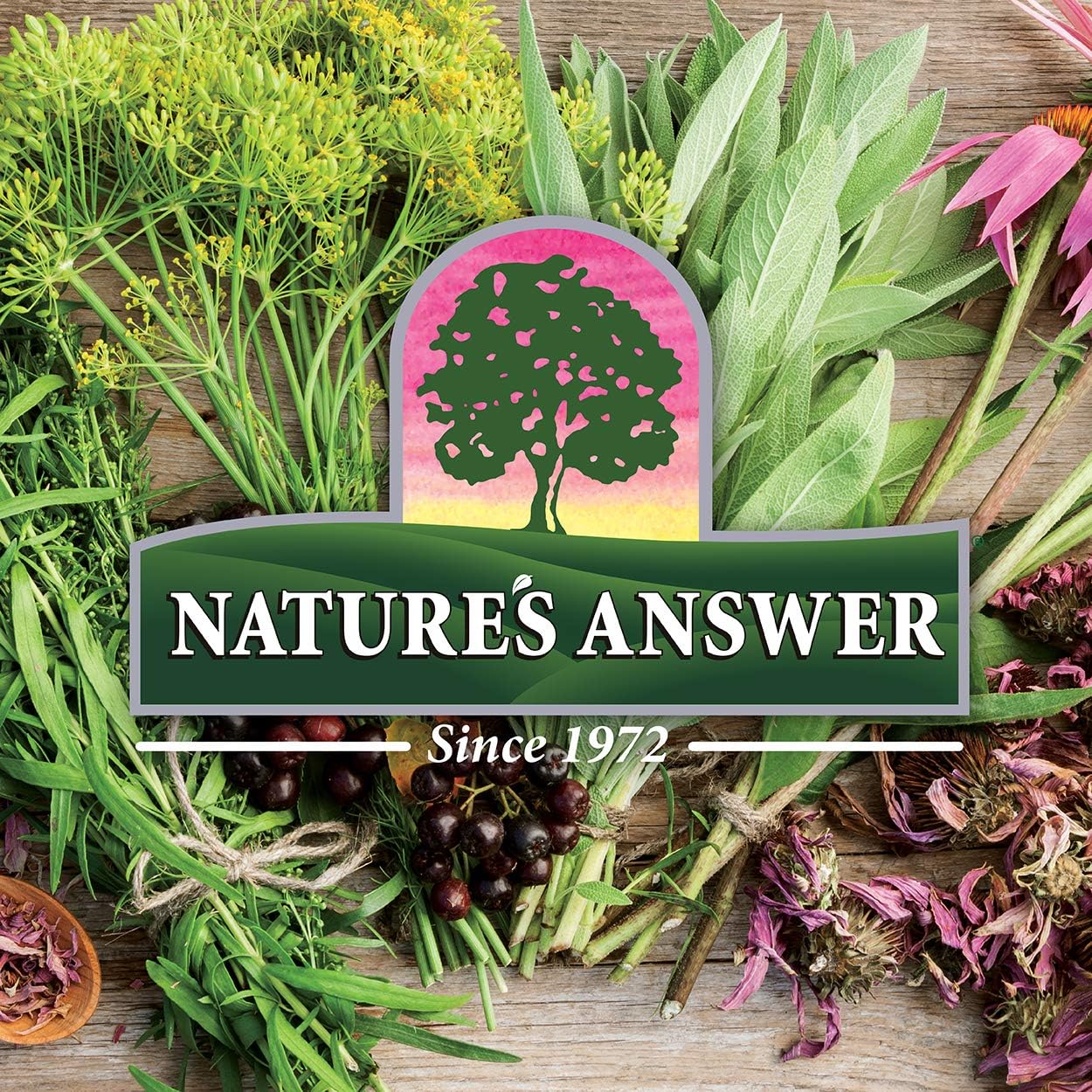 Nature's Answer Black Walnut and Wormwood, 1 Ounce each (Value Pack of 2)