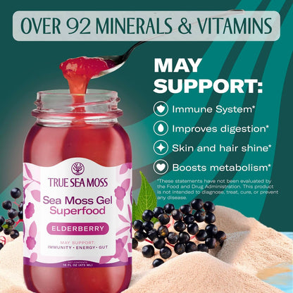 TrueSeaMoss Sea Moss Gel – Made in USA – Wildcrafted Seamoss, Fresh Fruits & Sea Vegetables – Apple/Cinnamon, Pack of 1 (Labels may Vary)