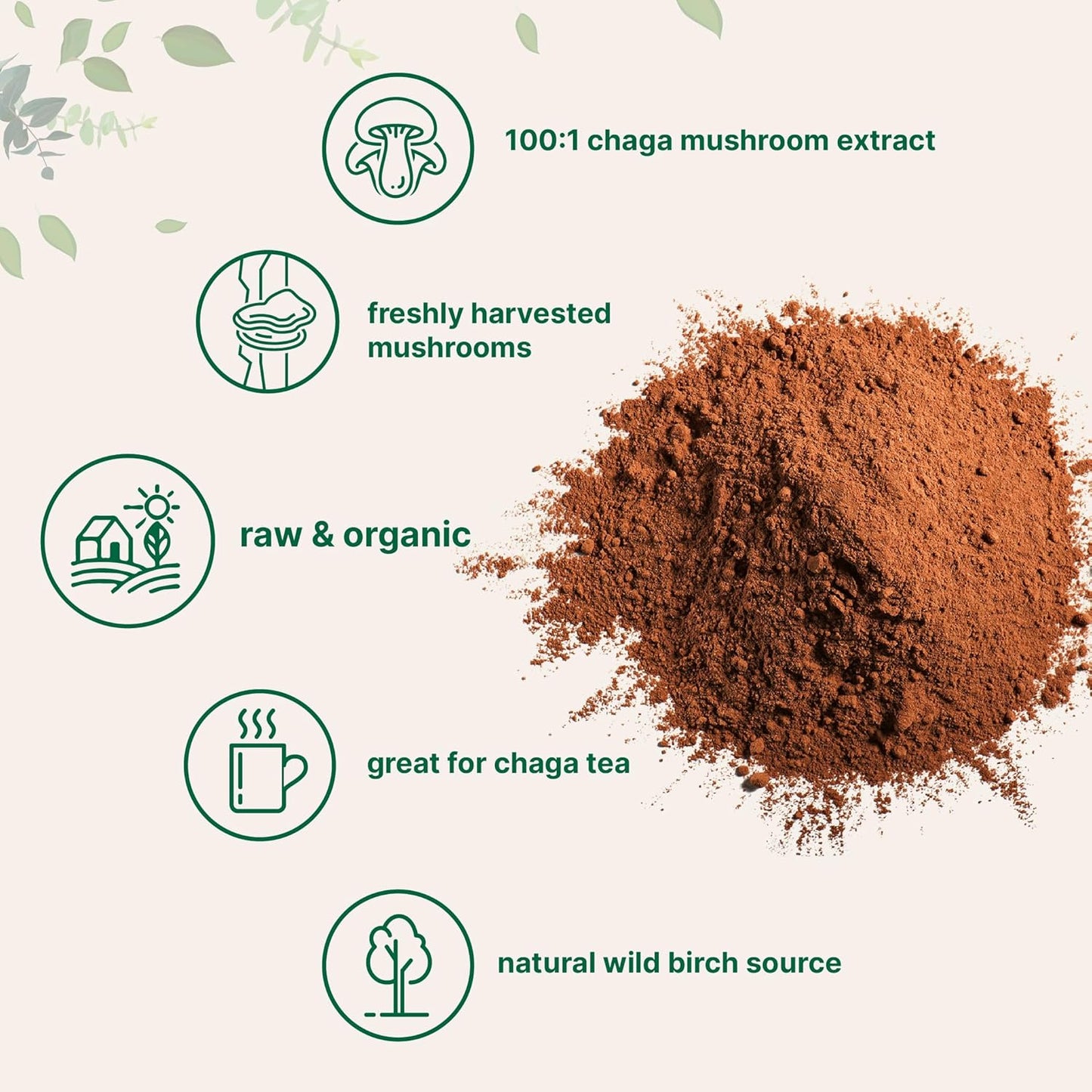 Micro Ingredients Organic Chaga Mushroom Extract, 10 oz | 100:1 Wild Harvested | Supports Immune & Antioxidant Defense | Great for Tea & Smoothies | Non-GMO, Vegan Friendly