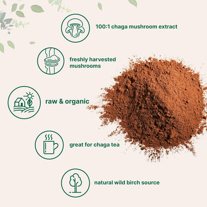 Micro Ingredients Organic Chaga Mushroom Extract, 10 oz | 100:1 Wild Harvested | Supports Immune & Antioxidant Defense | Great for Tea & Smoothies | Non-GMO, Vegan Friendly