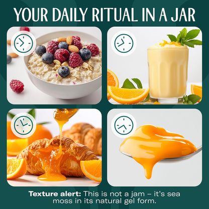 TrueSeaMoss Sea Moss Gel – Made in USA – Wildcrafted Seamoss, Fresh Fruits & Sea Vegetables – Cherry, Pack of 1 (Labels May Vary)