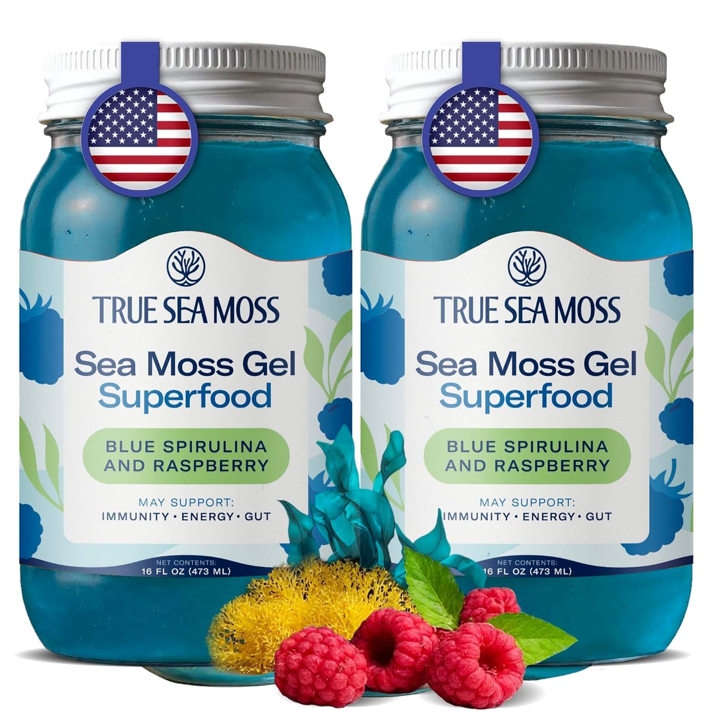 TrueSeaMoss Sea Moss Gel – Made in USA – Wildcrafted Seamoss, Dried Seaweed & Jarred Vegetables – Original, Pack of 1 (Labels may Vary)