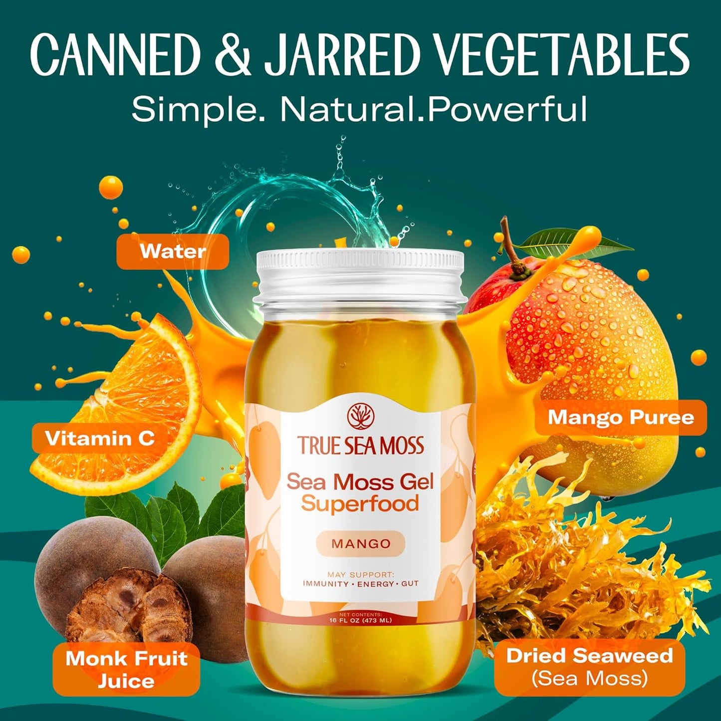 TrueSeaMoss Sea Moss Gel – Made in USA – Wildcrafted Seamoss, Dried Seaweed & Jarred Vegetables – Original, Pack of 1 (Labels may Vary)