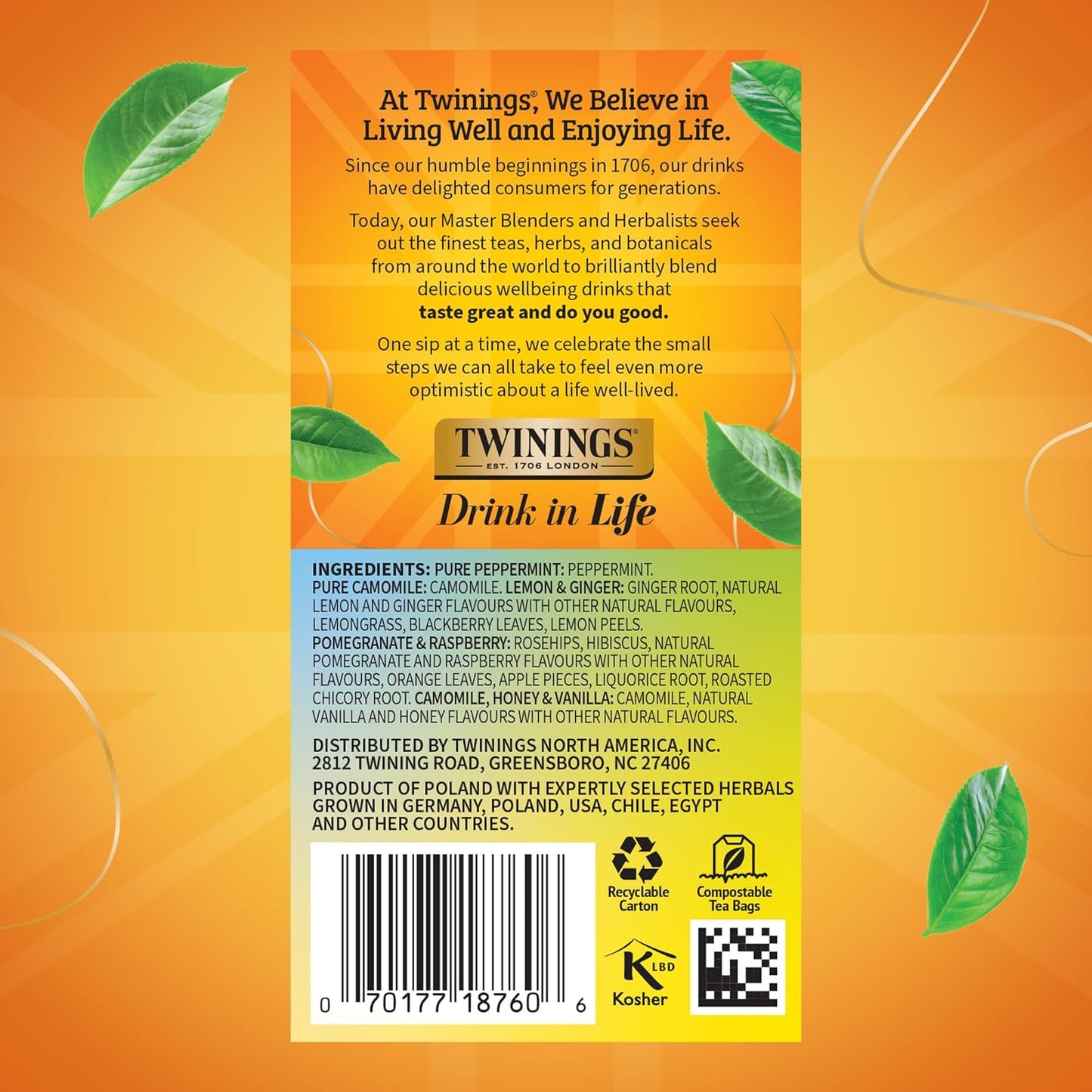Twinings Wild Berries Herbal Tea Individually Wrapped Bags, 20 Count (Pack of 1), Full-Flavoured, Naturally Caffeine-Free, Enjoy Hot or Iced, 20 Teabags