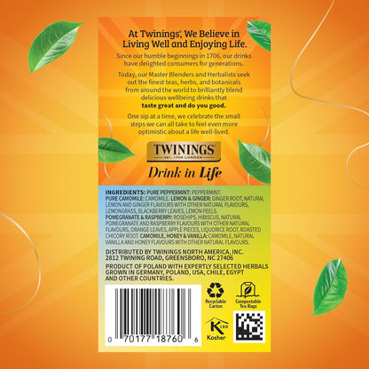 Twinings Wild Berries Herbal Tea Individually Wrapped Bags, 20 Count (Pack of 1), Full-Flavoured, Naturally Caffeine-Free, Enjoy Hot or Iced, 20 Teabags