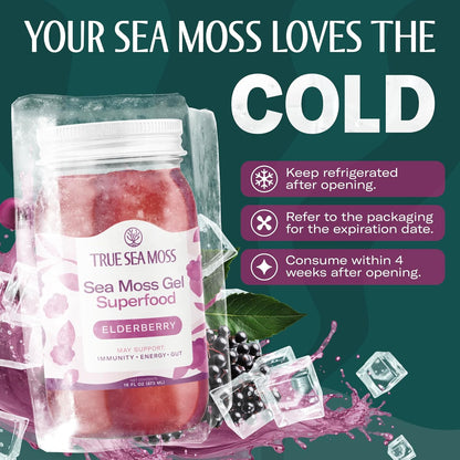 TrueSeaMoss Sea Moss Gel – Made in USA – Wildcrafted Seamoss, Fresh Fruits & Sea Vegetables – Apple/Cinnamon, Pack of 1 (Labels may Vary)