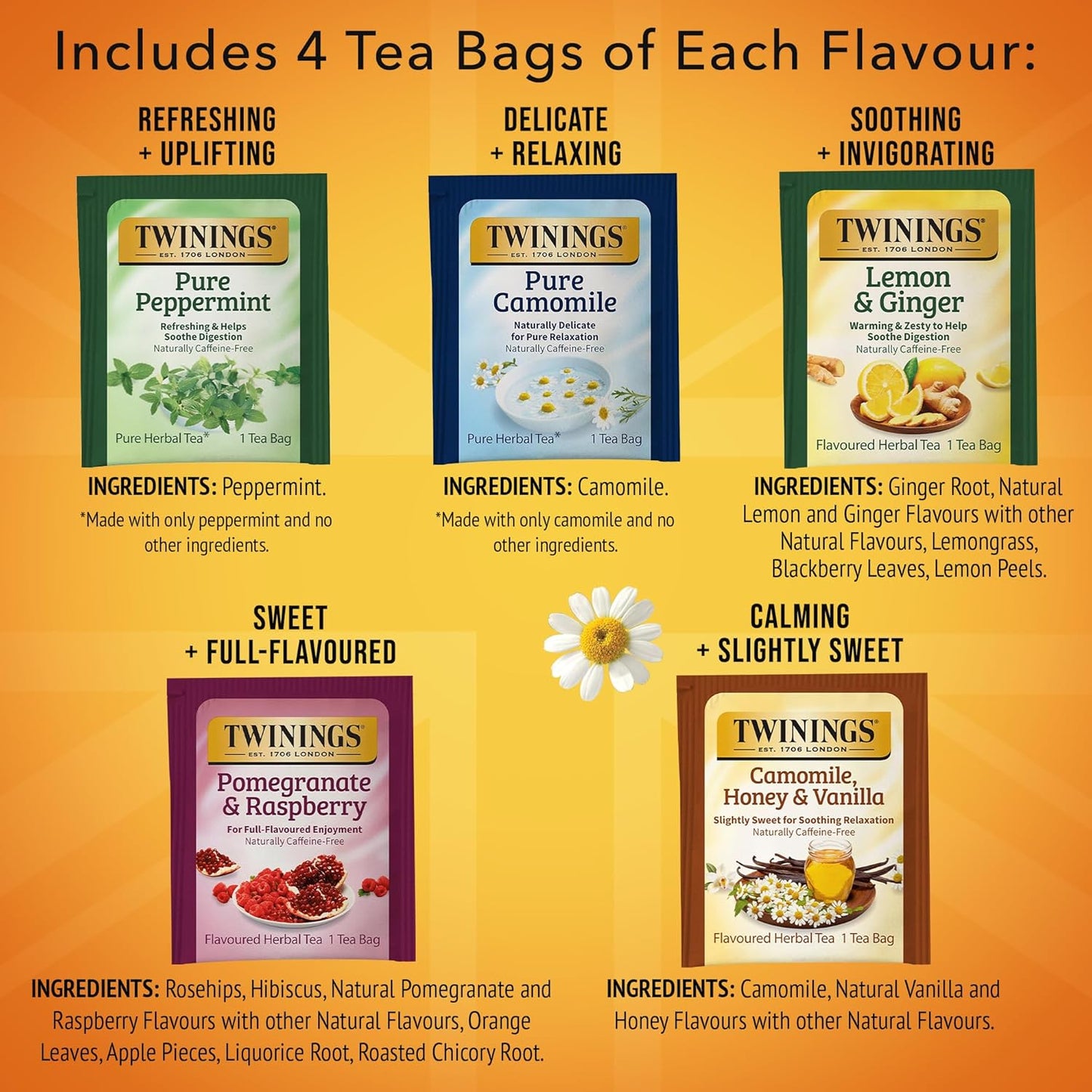 Twinings Wild Berries Herbal Tea Individually Wrapped Bags, 20 Count (Pack of 1), Full-Flavoured, Naturally Caffeine-Free, Enjoy Hot or Iced, 20 Teabags